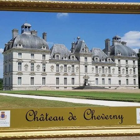 Les Capucines Proche Beauval & Chateaux Saint-Aignan  Kültér fotó